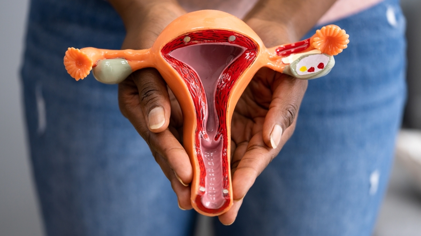 schema vaginal