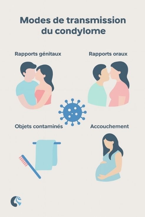 Modes de transmission du HPV Gianfermi