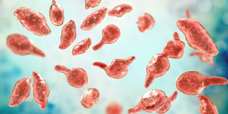 Mycoplasma genitalium MST Gianfermi